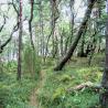 images/Schweden/Schweden 2009/IMG_4493.jpg
